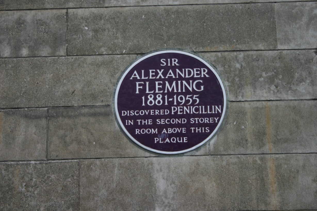 Alexander Fleming's Blue Plaque - 03.JPG